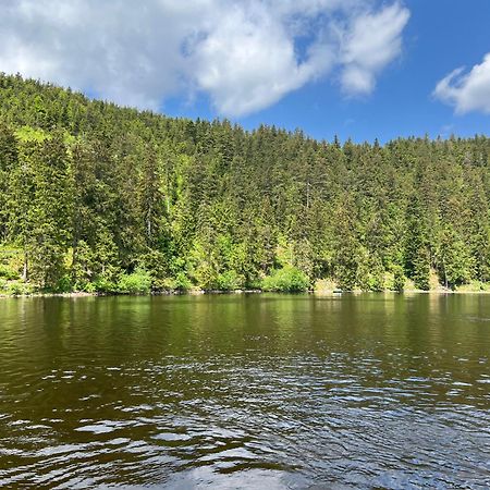 An Wanderwegen Gelegen Mit Terrasse Und Boxspringbett Lejlighed Sasbachwalden Eksteriør billede