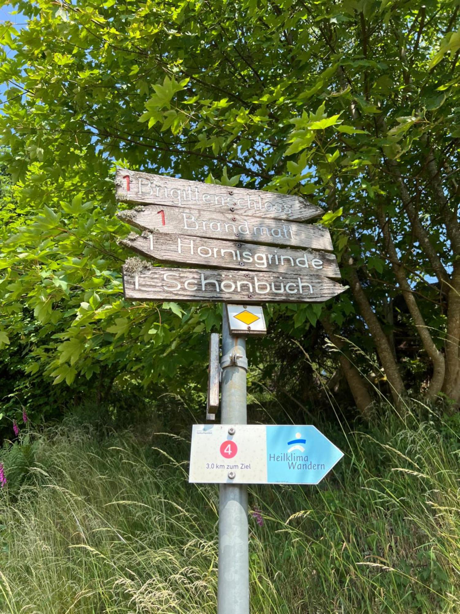 An Wanderwegen Gelegen Mit Terrasse Und Boxspringbett Lejlighed Sasbachwalden Eksteriør billede