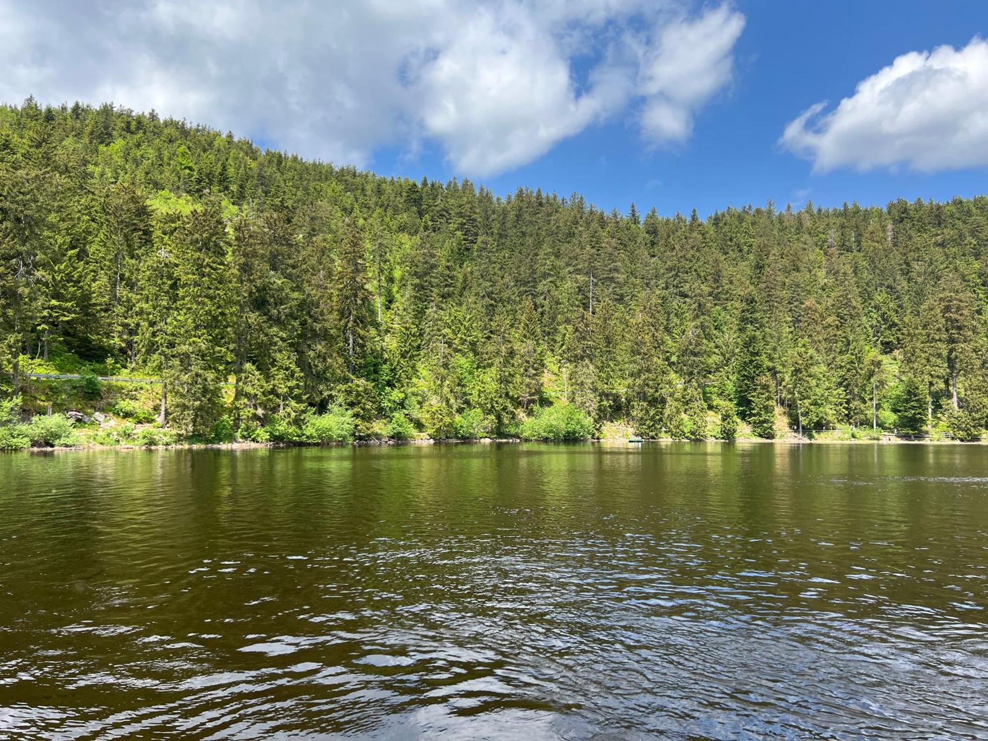 An Wanderwegen Gelegen Mit Terrasse Und Boxspringbett Lejlighed Sasbachwalden Eksteriør billede