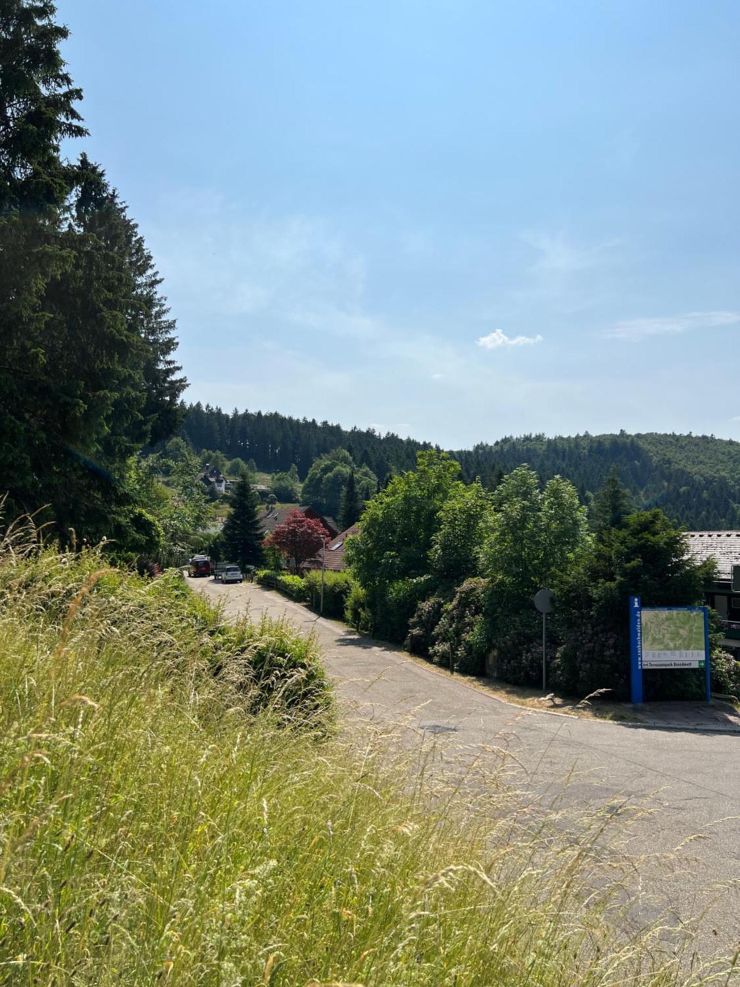 An Wanderwegen Gelegen Mit Terrasse Und Boxspringbett Lejlighed Sasbachwalden Eksteriør billede